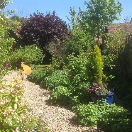 Au Fond Du Jardin Maison D'Hotes Saint-Saëns エクステリア 写真