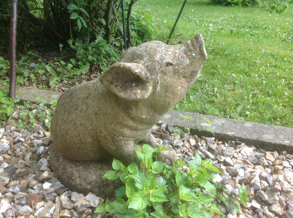 Au Fond Du Jardin Maison D'Hotes Saint-Saëns エクステリア 写真